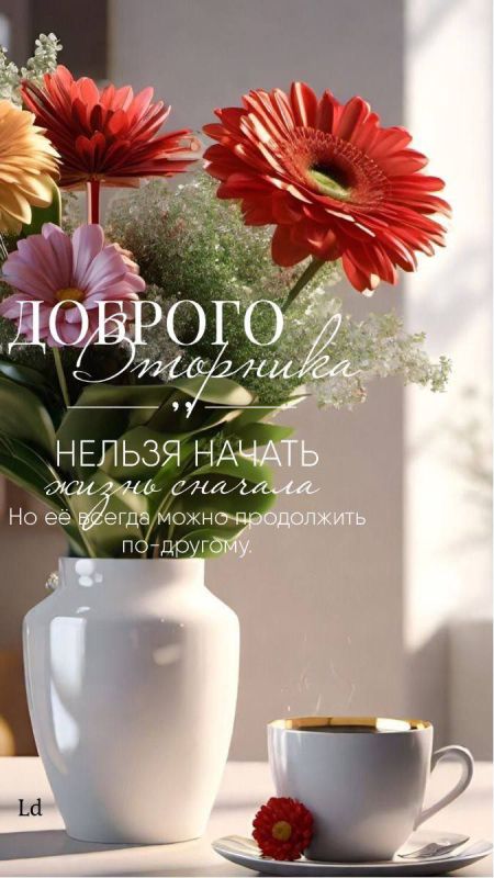 � ������ �����, �����������!