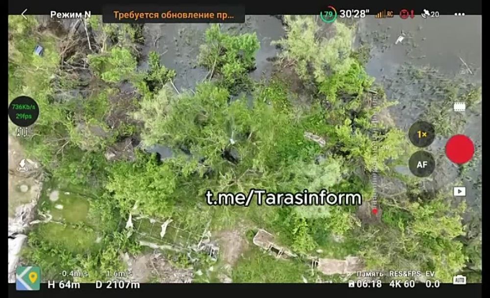 ��� ������: ���������� �����������, ����������� ���������� �����