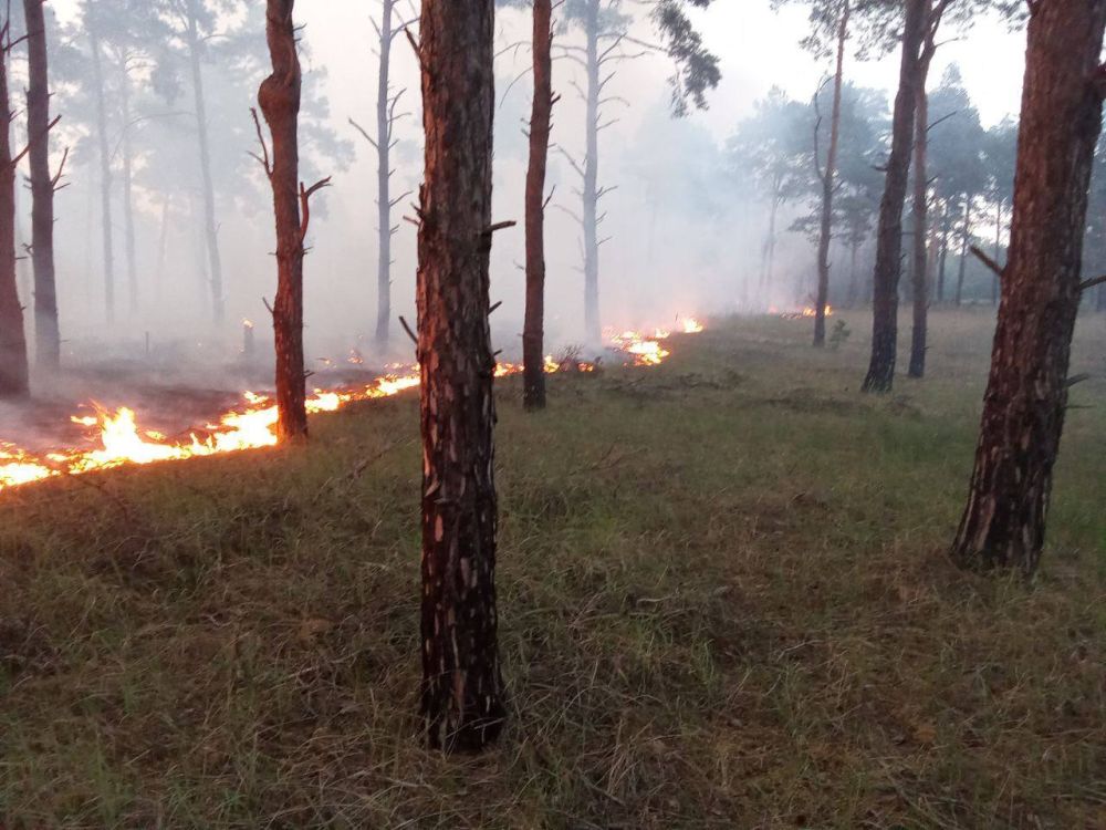 �� ���������� ������������ ����������� ���� ������������� ��� ������ ���������� ��������� ���� ����