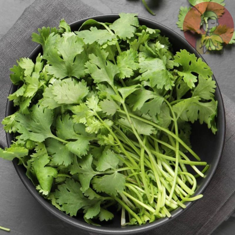 �������� �������� �����