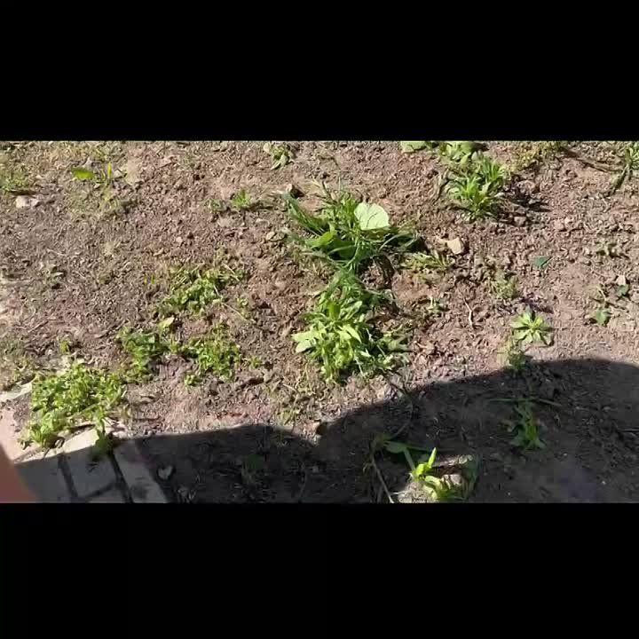 ������������ ��������-��������������� ��������� ���������� ������� ������� ������� � ������������� ���������� �������� �����