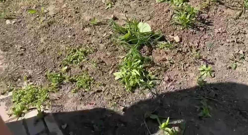 ������ ���������� ������� �������������� � ������������� ����� "������� �����"