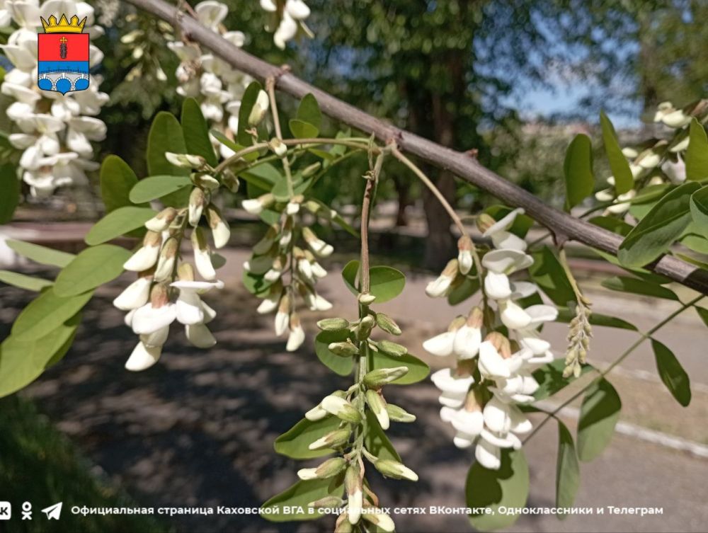 ������ ����, �������!. @VGA_Kakhovka