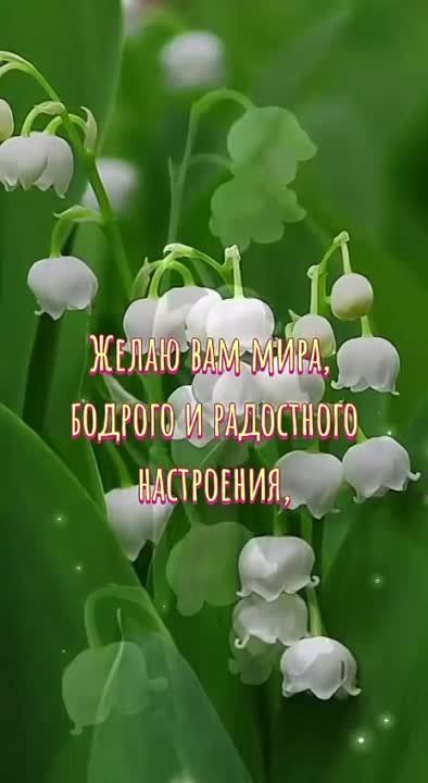 ����������� � ���������� ����� � �����! ����� � ���� ������ ������� ���� �������� ������ ������� ���� ����� � ��������� �� ����� �������� ���������