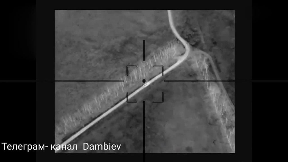 ���������� ����������� "������" �� �� �� ������� �������� ������������� ����������� "������" ��������� ���������� ���� �� ������������ �����������