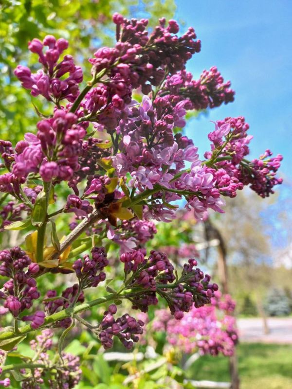 � ������ ������� ����!. � ���� ������������ ���������� �� ����� ������ ������! ���� ����� � ���������� ����������! @mchskherson