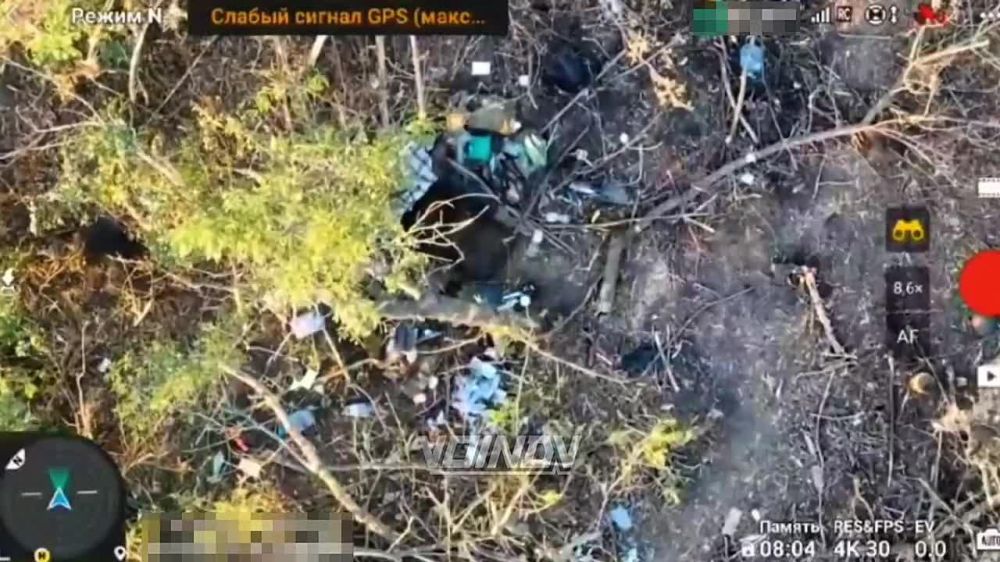 ������ ���������� ���� 14 ��������� ������� �������� �� �������� ���