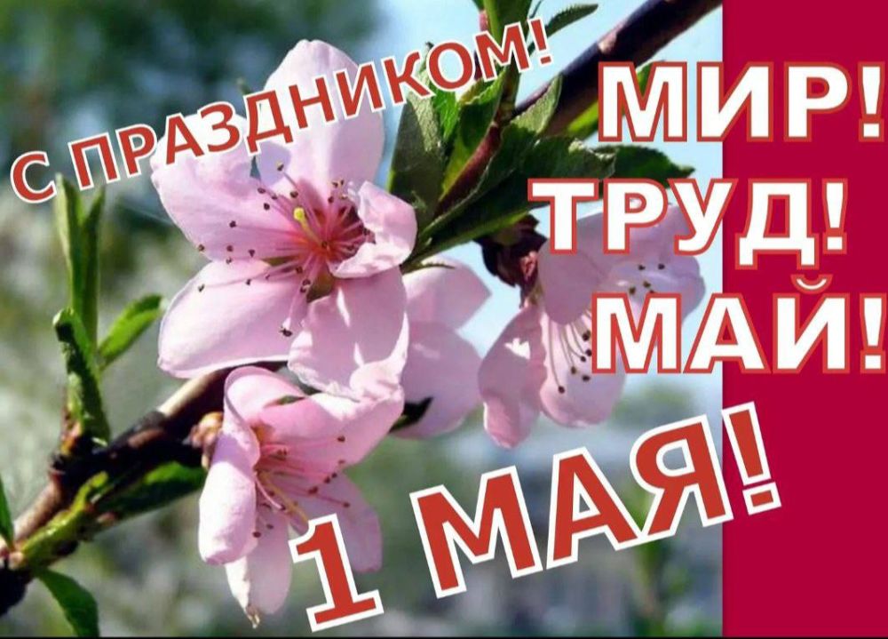 ��������� ������ !. p> � ���������� ����� � �����, � 1 ���! ������, ����� ���� ��� ���������, ���������, ����������������, ��������������, �������