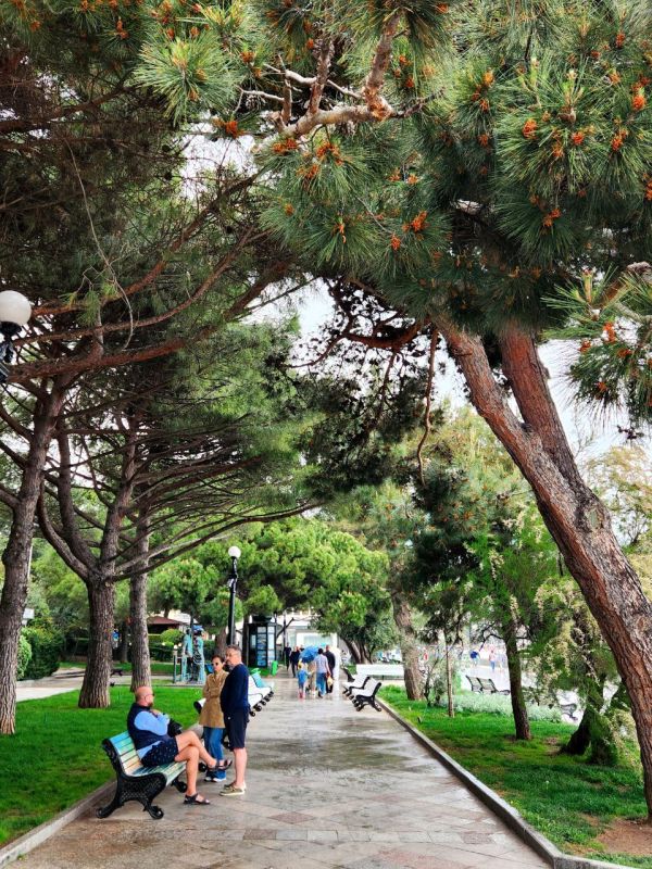 ������ � ���������� � ����