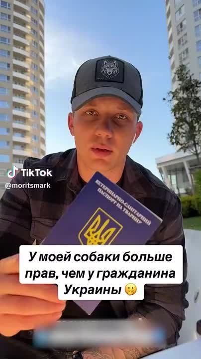 ���������� ��������, ��� � ��� ������ ������ ����, ��� � ����, ��� ���������� �������