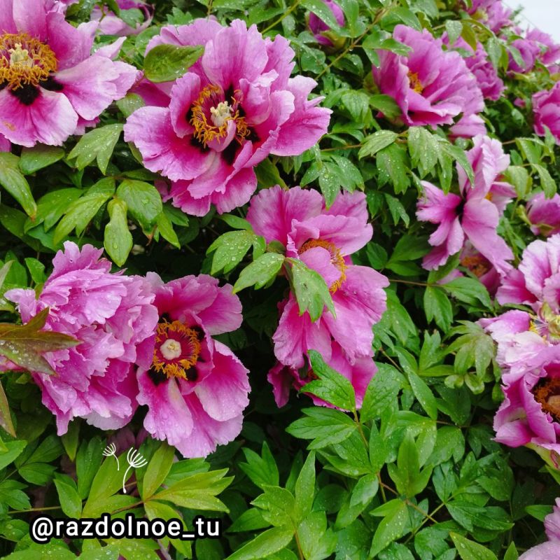 � ������ �����! � ���� ���!