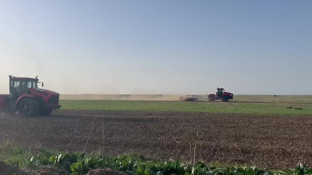 ������� 1 ��� � �������� ����� � ����