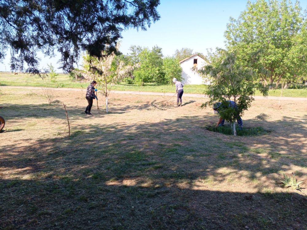 ����� ������� ������� ������ � ����������������� �������� �����