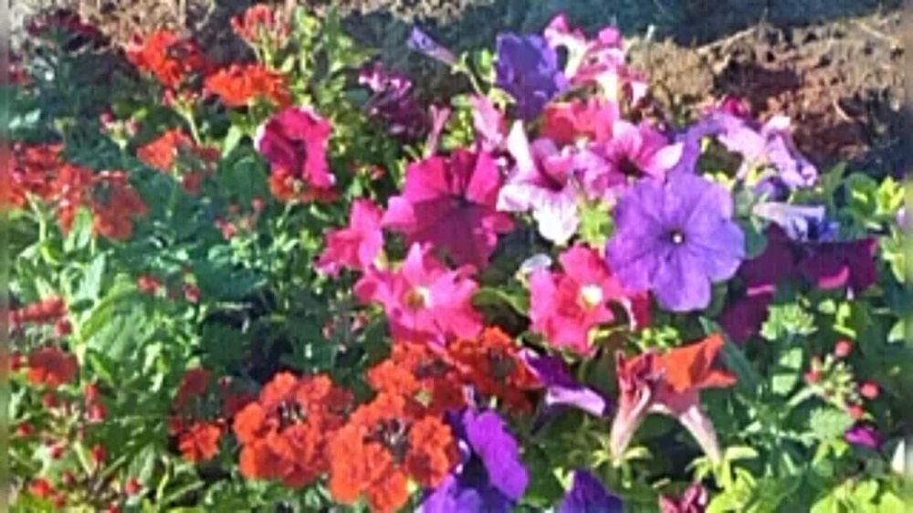 � ������ �����, �����������!