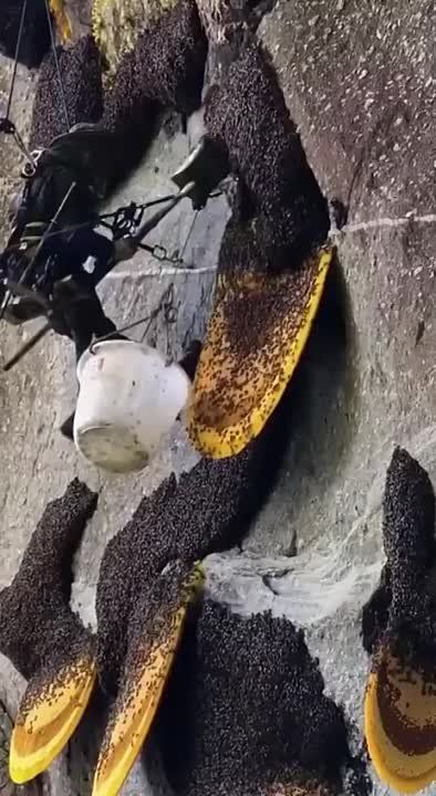 ��� ��� �������� ����� ��� � ������