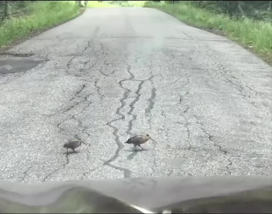 ������ ��������� �� ����� ��������, � ������