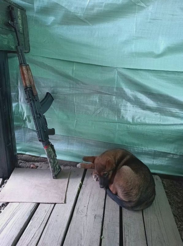 ��������� ������� ����� ������ � �������� ���� �������� ���� ������