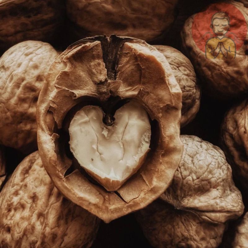 ����� ������� �� ������� ����