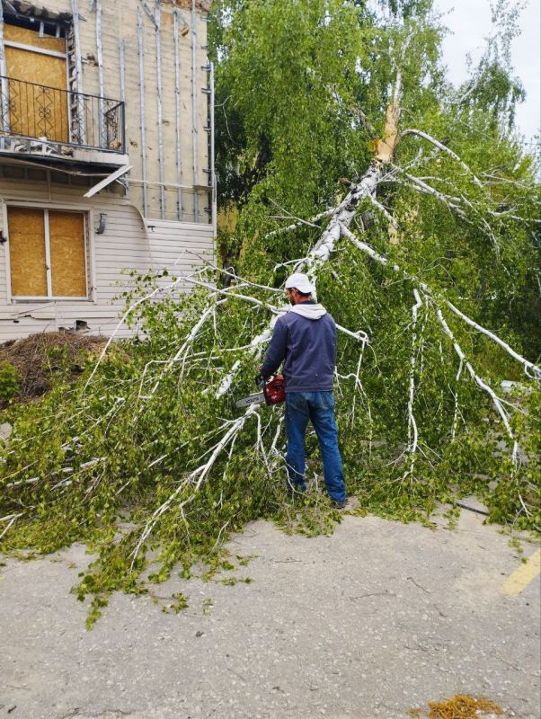 ����������� ������ ��������� ������������ ������� �� ��������� ������