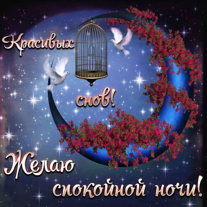 ������ ����. ������ � ������� � ���� ������������, ������ �������� � �� ����� ��� ������ �� ��������. ��� �������. ����������� �� +11 ����� �� +25 ���