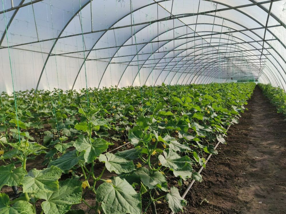 � �������� ������������ ������ ��������� ������ ������ �������