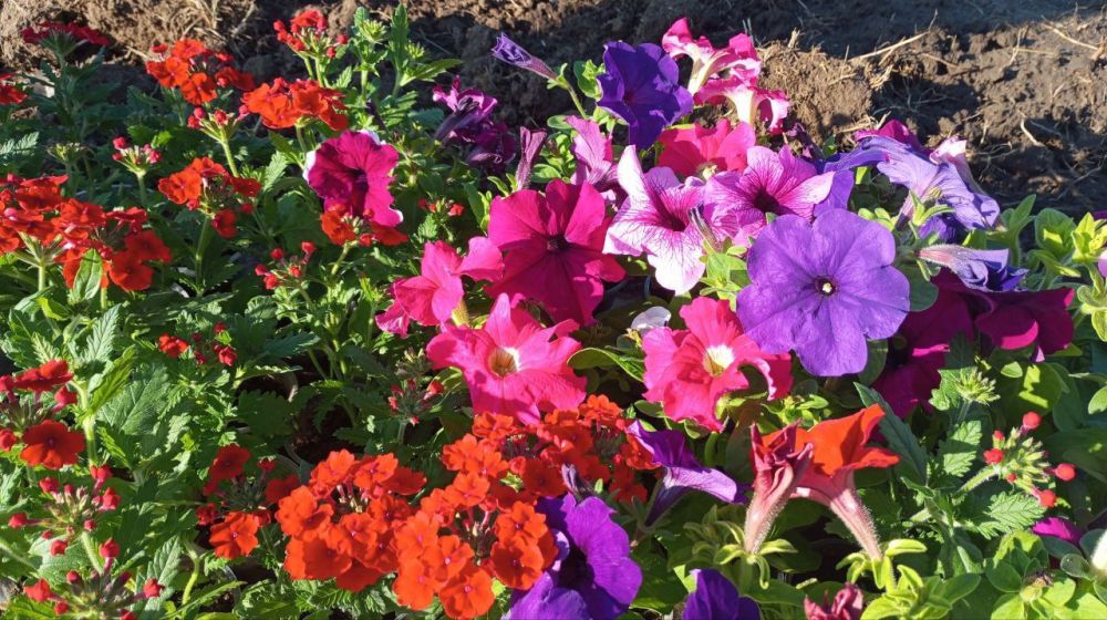 ��� ����� ������� ������ � ����� �����������! ���� ������ ���������� �������� ��� ������ � �������