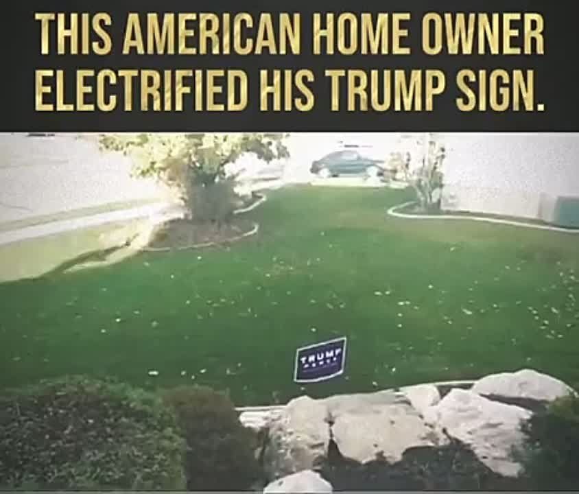 �����-�� ����� � ��� ����� ���������� �������-���������� � ��������� ���� � �������� "�����" � �������������