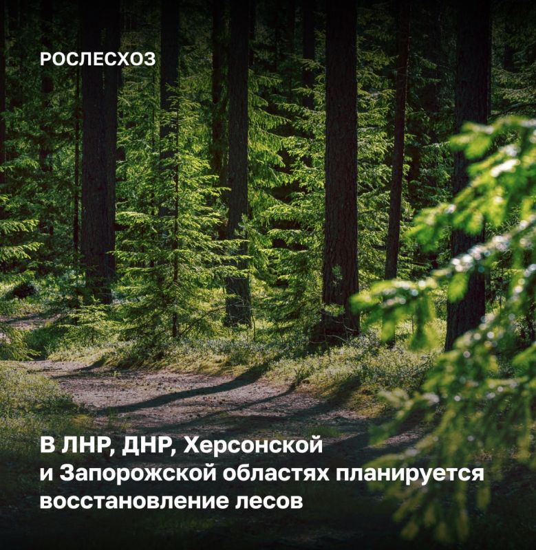 ������������ ������������ ������� ���������� ������ ���, ���, ����������� � ���������� ��������