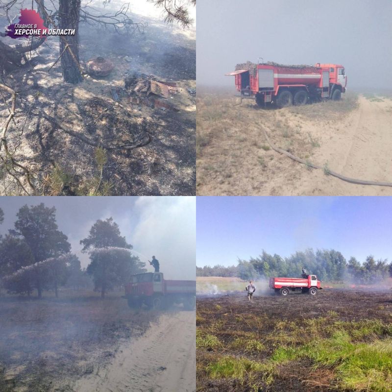 � ��������� ������������� ���������� � ������������ �����, ��������� ���������� ����������, ������� ������� ��������������