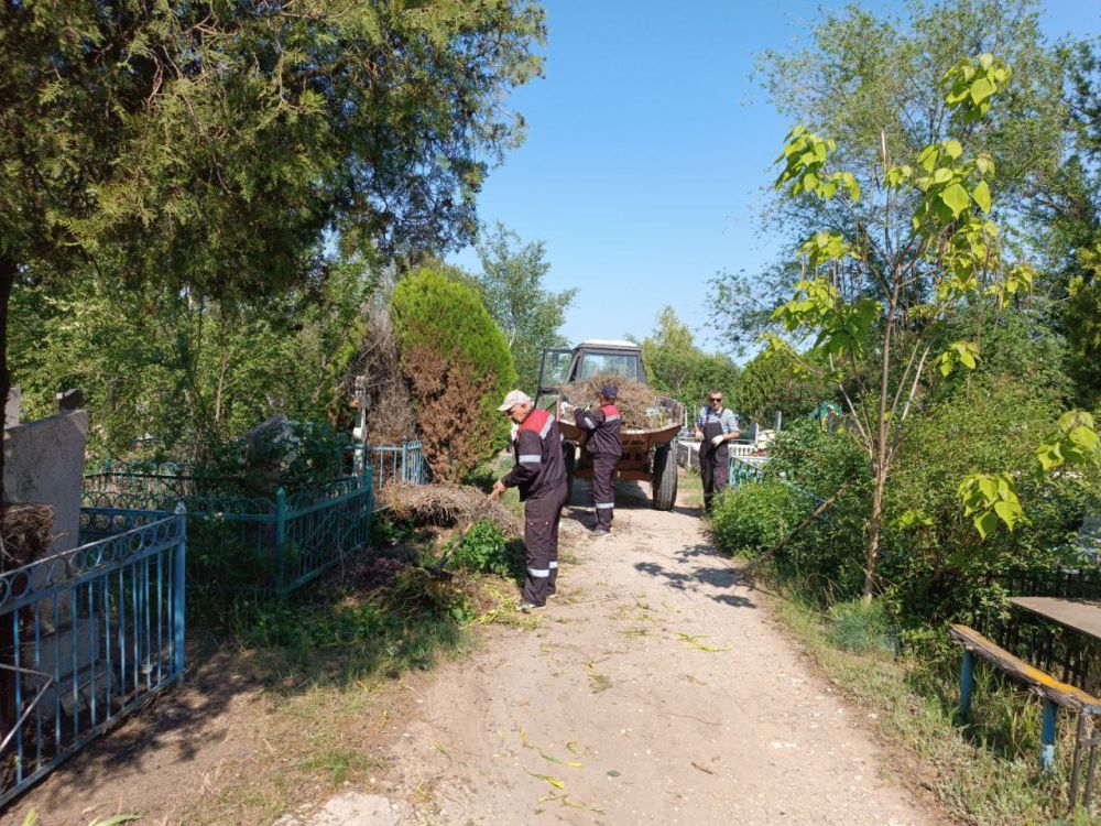 ������������� ������������� ������� �������� � ��������