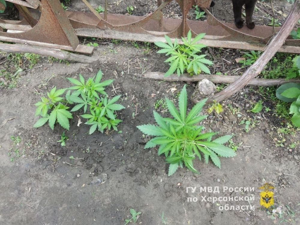 � ������������ ������ ������������ ������ ���������� ������� ������� ��������� � ����� �������