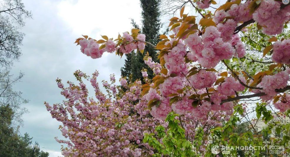 ������ �� ����� ����������� ������