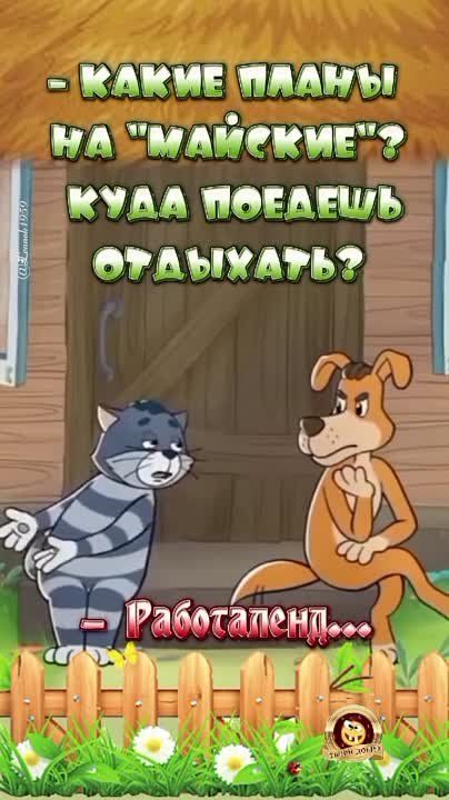 #������������