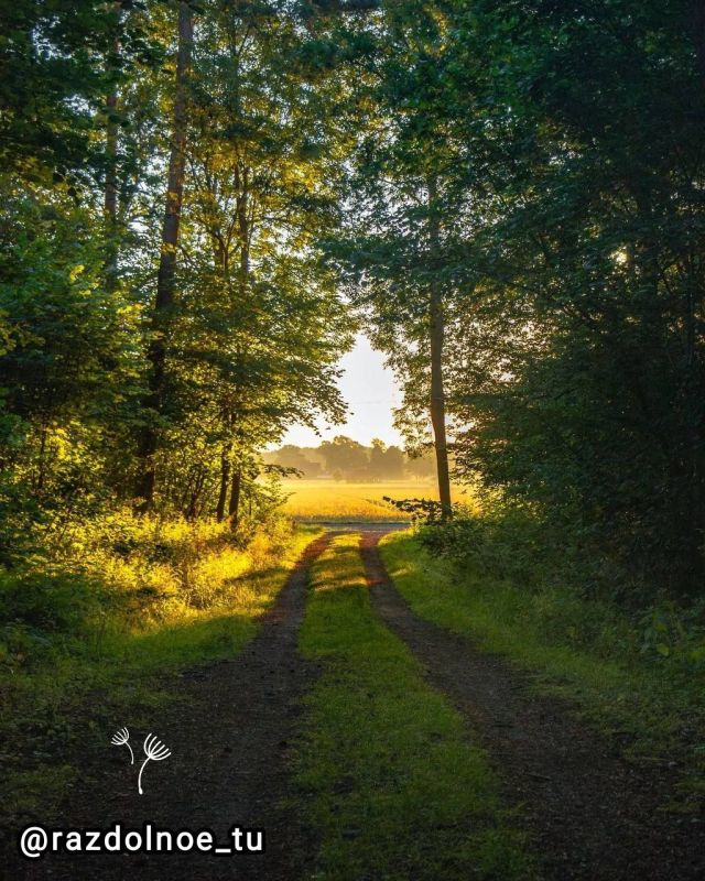 ����������!. ������ ��� ���������� ����� � ��������, ����� ������ ���� � ������! ������ ���������, ������ �������� � ����������� ������ ������� ���������, ������� ���� � �������!