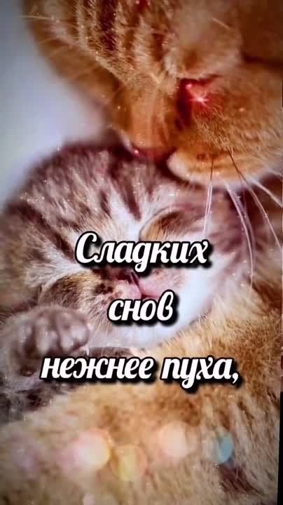 ������ ����. ������ � ������� �� ���� �� ����� �� �������. ��� �������. ����������� �� +10 ����� �� +19 ���