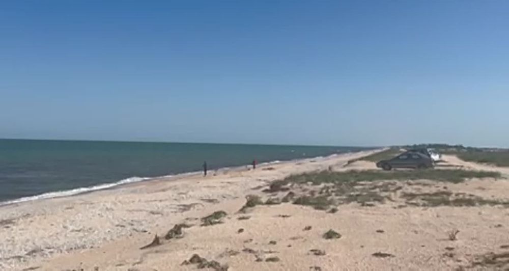 �� ���, ������, ������ ������� ������ � ��������?