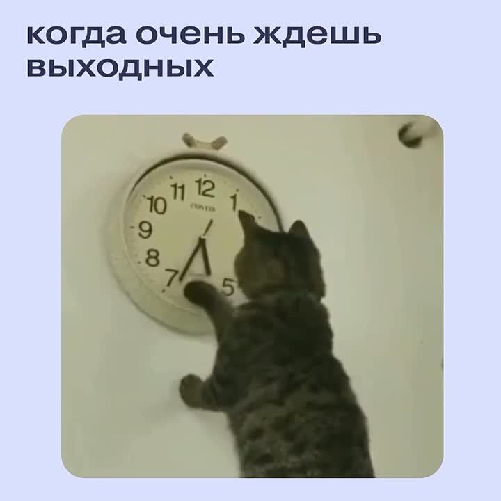 #������������. 46% ������� ������ �� ��� ������ �������� ���� � ���