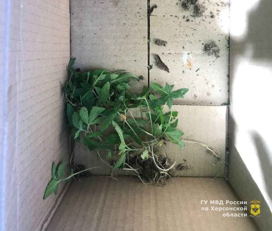 ����������� ������������� ������ ������� ���� ����������� ��������������� �������