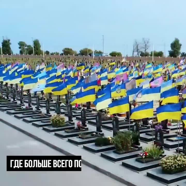 ��������� ���������� ����