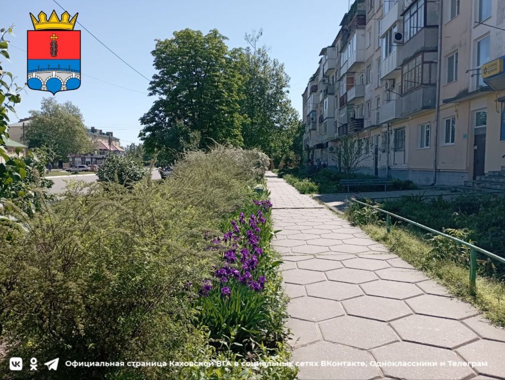 ������ ����, �������!. @VGA_Kakhovka