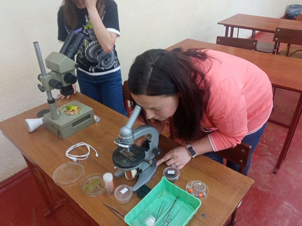 ��������� ���� �������� ���� ������������� � ������� ������������� ����������� �����������