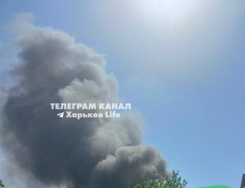 �������: ��� ������ ������� ����� ��������, ��������� ��������� �����, ��� �������� ��������� ���� � ������� ���