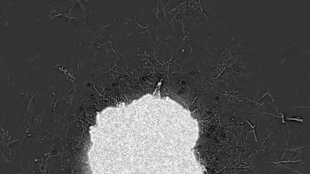 "������ ������ 2.0". ���� ��������� ����� ��������� �������� �������� ����� ������������� � ����������� ������, ������ � ������ ������ ����������