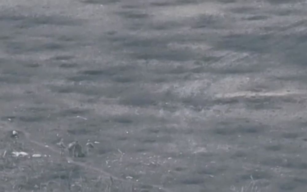 ������� ����� FPV ���� �� �� ��������� ����� �� ���������� �������