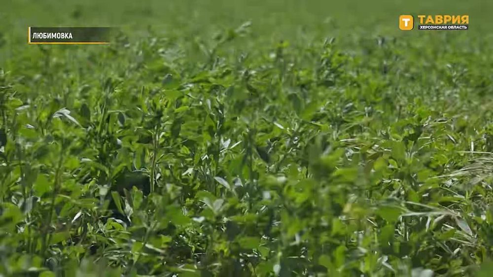 � ���������� ������� ������������ �������� ��������� ������� ���������� ��������