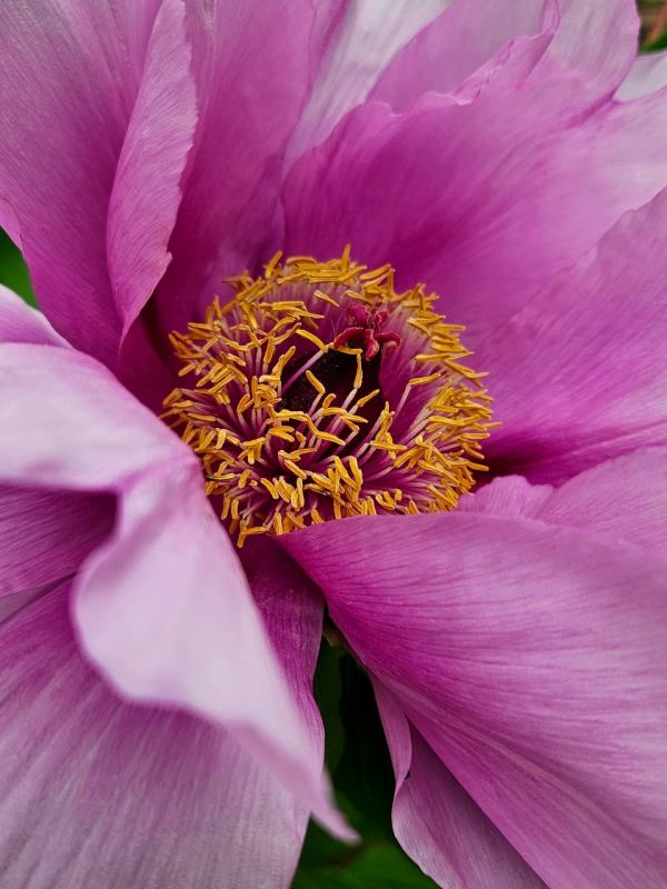 � ������ �����, �����������!