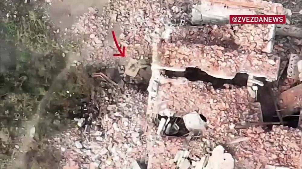 �����-��������� �������� ���������� ������� ��������� � ����� �����������