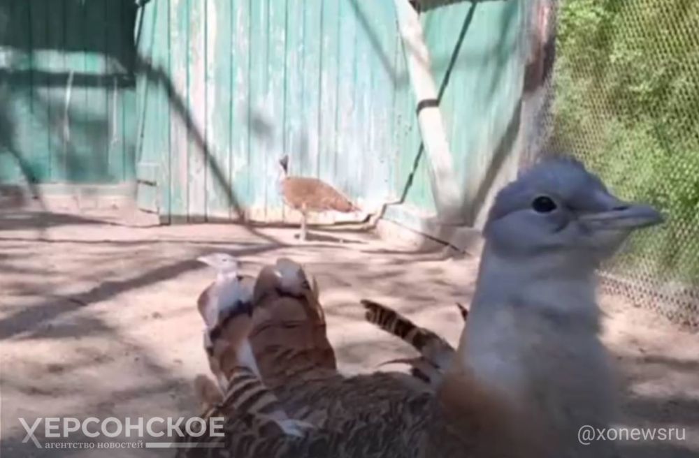 ���������� ����������� ����������� ��������-���� �������� ��������� ����, ��������� �� ����� �� ������-����� ��������