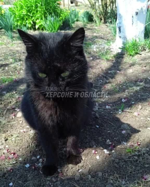 ������, ���� � ����� � �������� ������ ����������