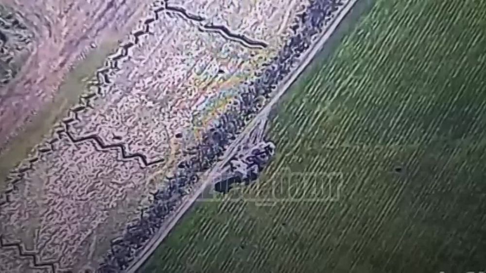 ���������� ������ ���� �������� ����������� �����������!